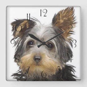 Horloge Carrée Magnifique Yorkshire Terrier