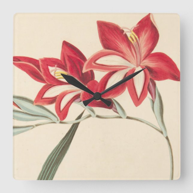 Horloge Carrée Maïs-Drapeau superbe (Recto)