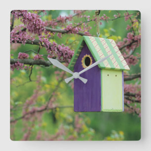 Horloge Carrée Maison d'oiseau sur un arbre Redbud