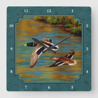 Mallard Canards en vol Turquoise