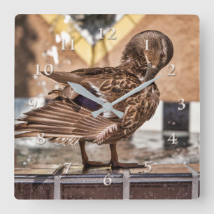 HORLOGE CARRÉE MALLARD DUCK GETAWAY RESORT SPA