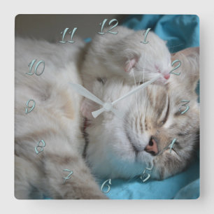 Horloge Carrée Maman et fils chatons