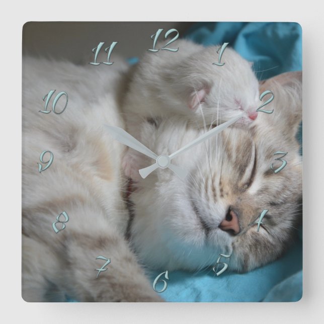 Horloge Carrée Maman et fils chatons (Recto)