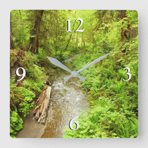 Horloge Carrée Man Creek II perdu dans le parc national Redwood