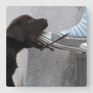 Horloge Carrée Mange Ma Chaussure ! Labrador Puppy