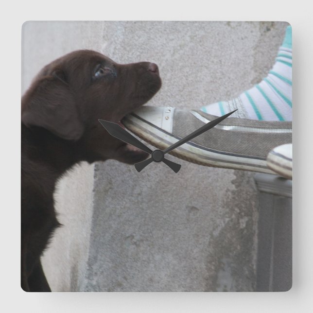 Horloge Carrée Mange Ma Chaussure ! Labrador Puppy (Recto)