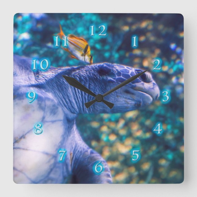 HORLOGE CARRÉE MANICURE DE TORTUE DE MER (Recto)