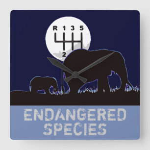 Horloge Carrée MANUEL - En voie de disparition