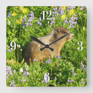 Horloge Carrée Marmot dans le Mont Rainier Fleurs sauvages