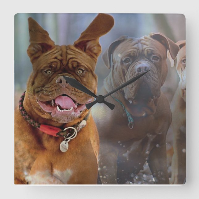 Horloge Carrée Mastiff (Recto)