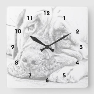 Horloge Carrée Mastiff paresseux
