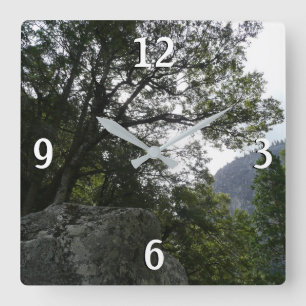 Horloge Carrée Matin sur le sentier menant aux chutes de Vernal d