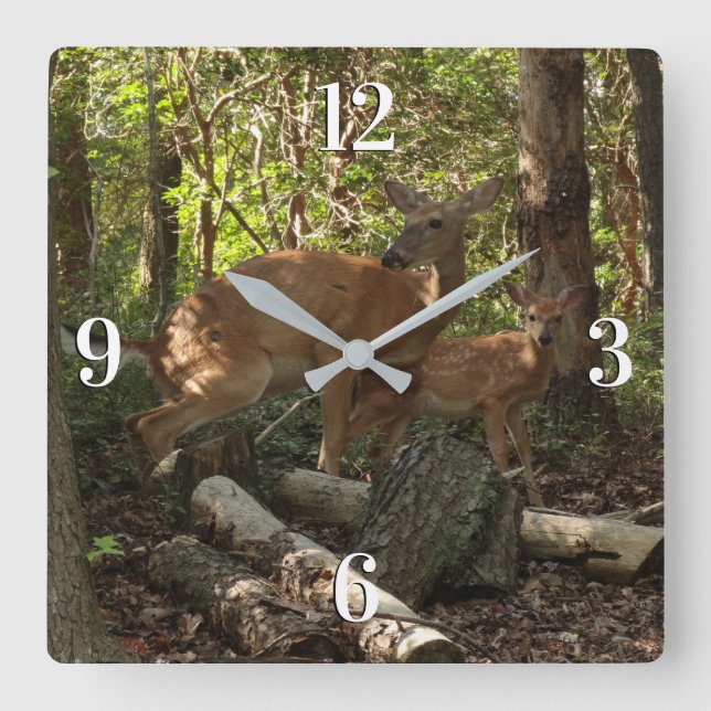 Horloge Carrée Mère et bébé cerf au Parc national de Shenandoah (Recto)