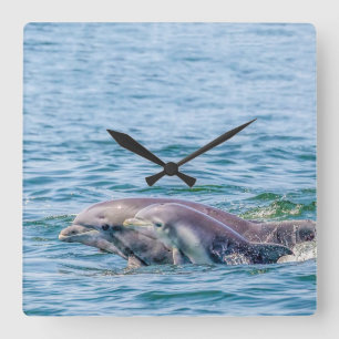 Horloge Carrée Mère's Love Dolphin & Baby Clock