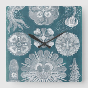 Horloge Carrée Modèle IV de vie marine