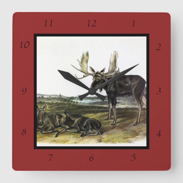 Horloge Carrée Moose Deer (Moose - Alces alces) par Audubon (Recto)