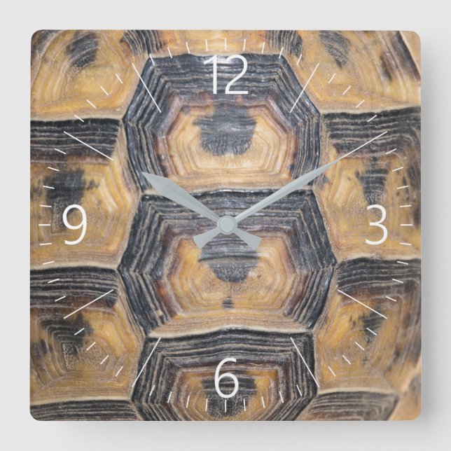 Horloge Carrée Motif de la tortue (Recto)