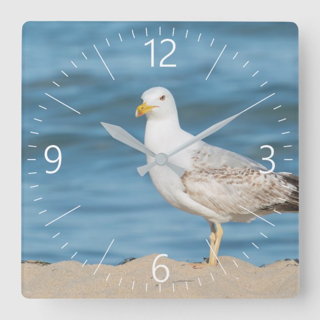 Horloge Carrée Mouette marchant sur la plage (Recto)