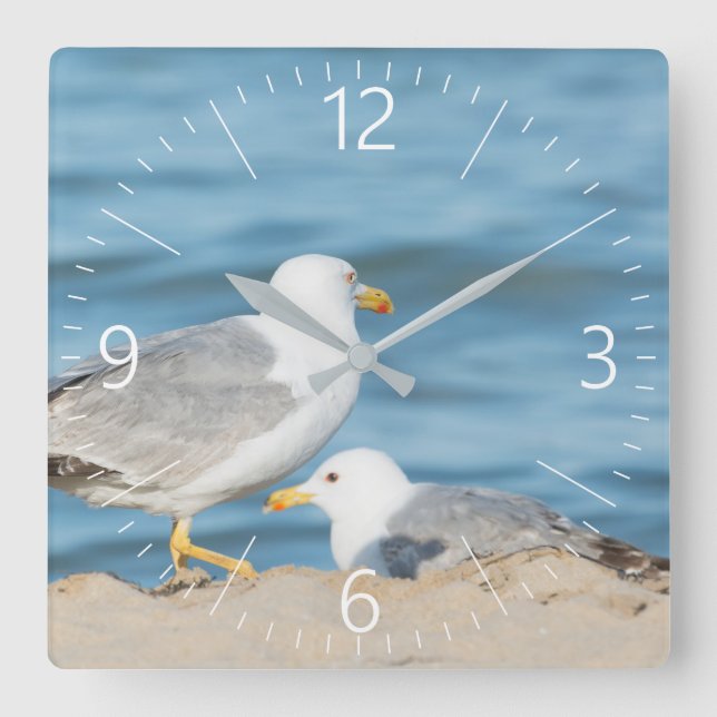 Horloge Carrée Mouette marchant sur la plage (Recto)
