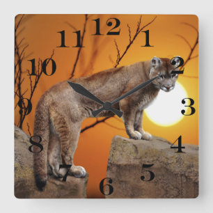 Horloge Carrée Mountain lion at sunset