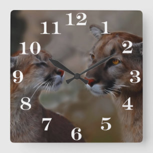 Horloge Carrée Mountain lions in love