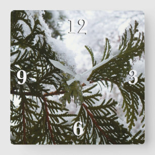 Horloge Carrée Neige sur les branches de feuillus persistants