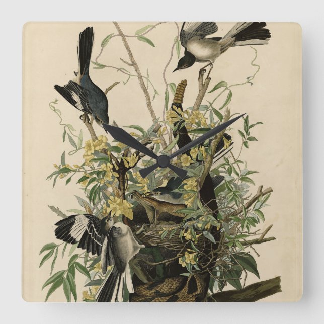 Horloge Carrée Northern Mocking Bird, Audubon's Birds of America (Recto)