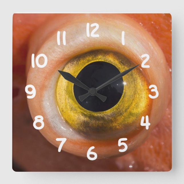 Horloge Carrée Oeil de sébaste (Recto)