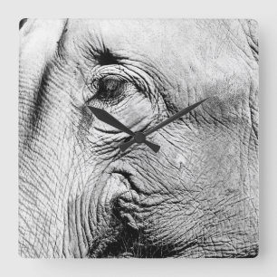 Horloge Carrée Oeil d'éléphants, 2017