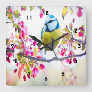 Horloge Carrée Oiseau bleu printemps