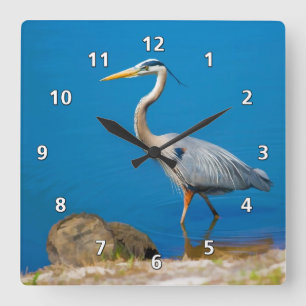 Horloge Carrée Oiseau de grand héron bleu à l'étang