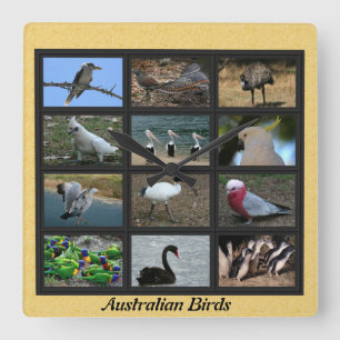 Horloge Carrée Oiseaux australiens