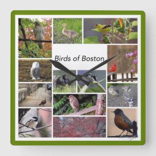 Horloge Carrée Oiseaux de Boston Photo Collage