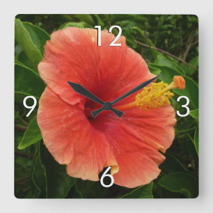 Horloge Carrée Orange Hibiscus Fleur Tropical Floral
