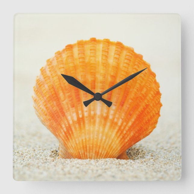 Horloge Carrée Orange Scallop Shell Standing Upright In Sand (Recto)