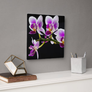 Horloge Carrée Orchidée blanche et violette