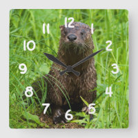 Otter