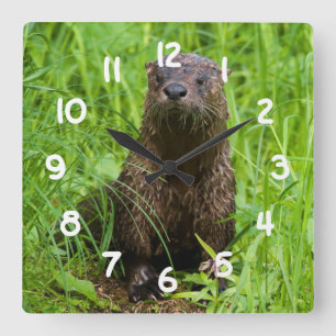 Horloge Carrée Otter de la rivière Clever