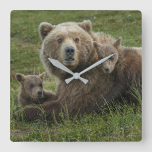Horloge Carrée Ours bruns oursons câlinant leur mère