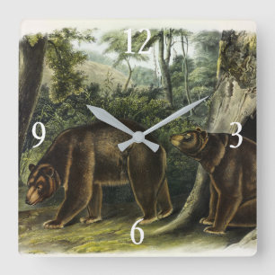 Horloge Carrée Ours de cannelle des Quadrupeds d'Audubon