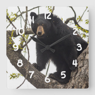 Horloge Carrée Ours noir s'élevant