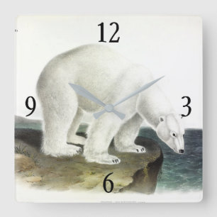 Horloge Carrée Ours polaire (Ursus Maritimus), Quadrupèdes d'Audu