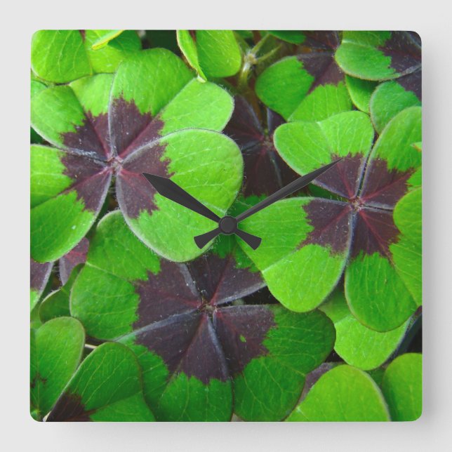 Horloge Carrée Oxalis Feuille - Rouge et vert (Recto)