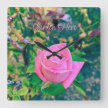 Pancarte Rose Rose Ici Jardin