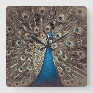 Horloge Carrée Paon Bleu Antique