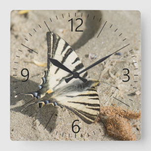 Horloge Carrée Papillon