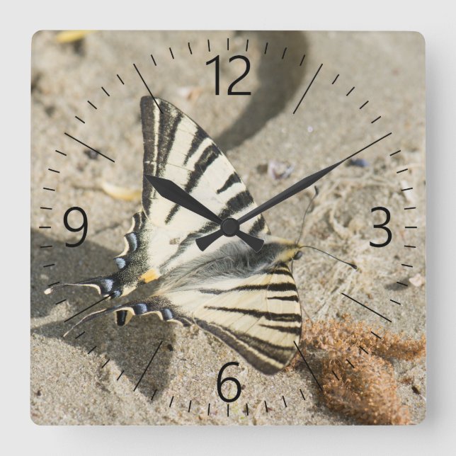 Horloge Carrée Papillon (Recto)