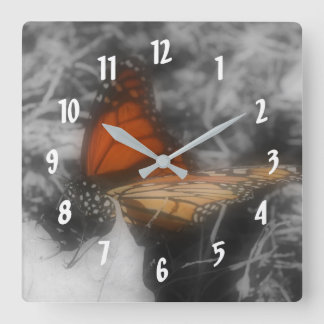 Horloge Carrée Papillon Monarque En Nature Noire Et Blanche