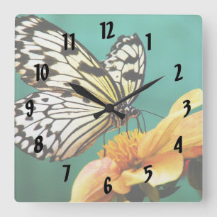 Horloge Carrée Papillon Monarque Et Fleur Orange