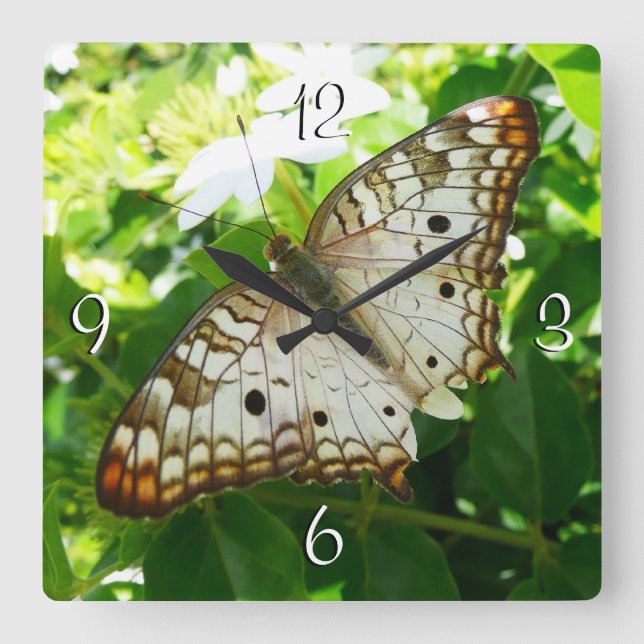 Horloge Carrée Papillon sur Jasmine Tropical Nature Photographie (Recto)